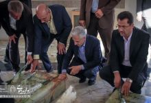 گزارش تصویری | افتتاح فاز یک مجموعه ورزشی پردیس مهندسی  دانشگاه صنعتی شاهرود با حضور وزیر علوم 